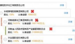 开封龙宇化工最新爆料,揭秘企业神秘面纱