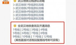 武汉爆料新消息最新消息,揭秘疫情下的城市动态与挑战